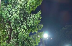 Top Technology Trends Shaping the World in 2025 – The Future Is Already Here